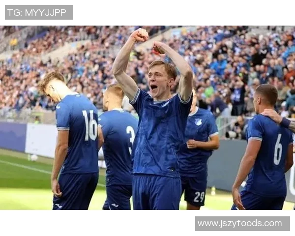 霍芬海姆主场大胜，勒沃库森无力回天，主场保卫战告捷