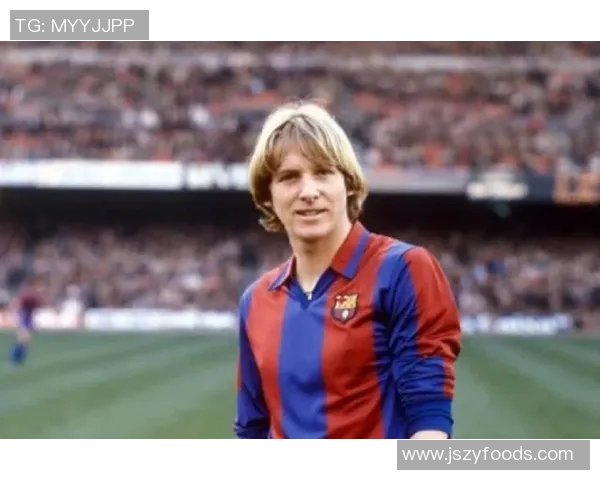 马拉多纳:足球世纪巅峰之作 马拉多纳:足球世纪巅峰之作