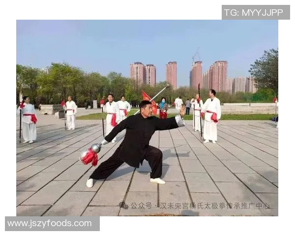 杨氏太极拳的独特魅力与内外兼修的运动特点分析 杨氏太极拳的独特魅力与内外兼修的运动特点分析