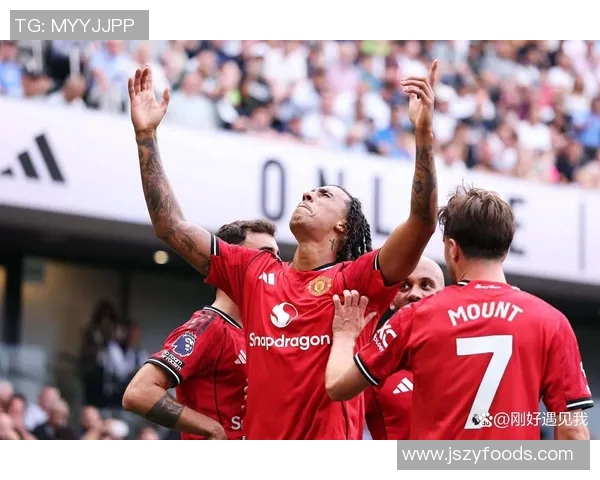 英超球队曼联新任主帅揭晓，球迷期待华丽蜕变和重生