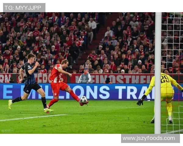 德甲热血激战：硬朗球风点燃球迷激情