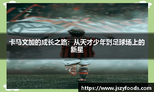 太阳成集团官方网址